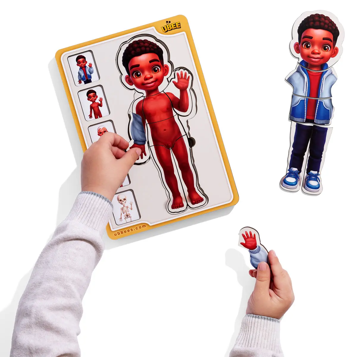 Дерев'яний 5-ти шаровий пазл (дерев'яний вкладка) "Анатомія людини – хлопчик - 3"