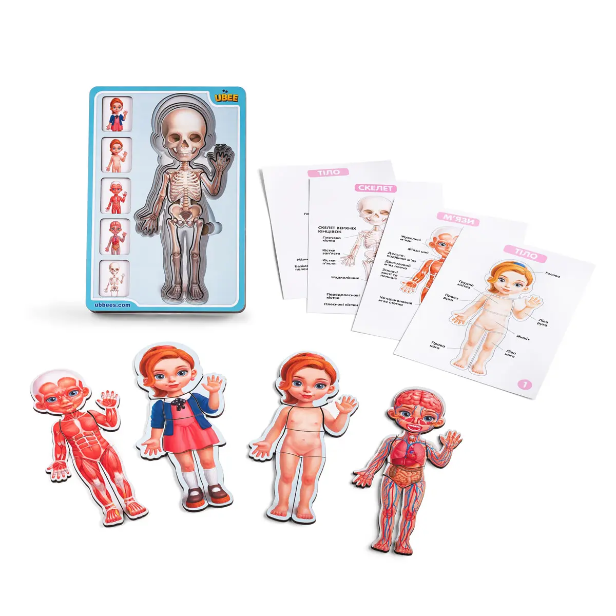 Пазл багатошаровий дерев'яний: "Анатомія людини – дівчинка". (Дерев'яні пазли для дітей)