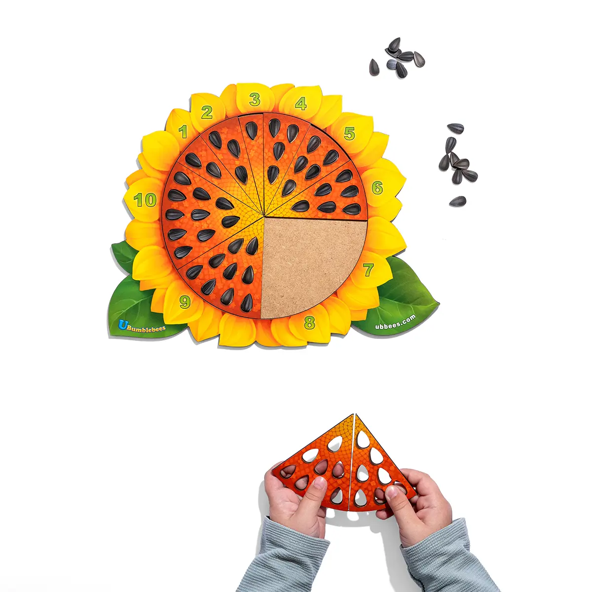 Сортер дерев'яний: "Соняшник - рахунок". Дитяча розвиваюча гра